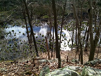 Aspetuck Valley Trail