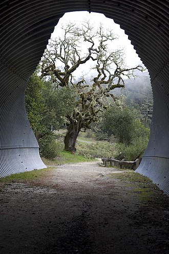 Bay Area Ridge Trail - 01 - North Bay