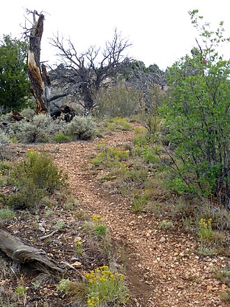 Bill Hall Trail