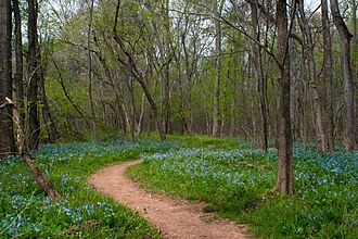 Bull Run Occoquan Trail