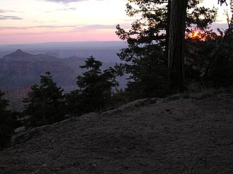 Cape Final Trail