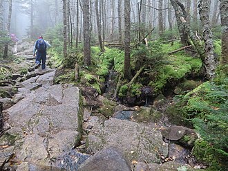 Crawford Path