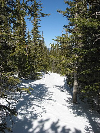 Flat Top Mountain Trail