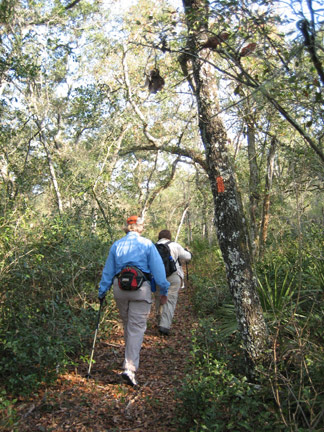 Florida National Scenic Trail