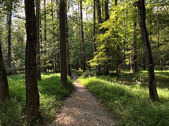 Gerry Connolly Cross County Trail