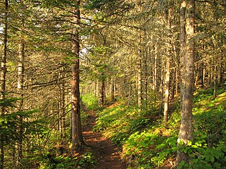 Greenstone Ridge Trail