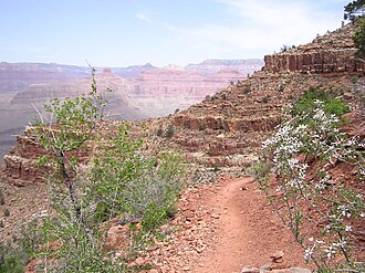 Hermit Trail