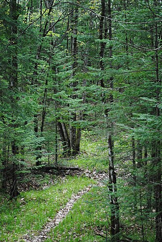Ice Age National Scenic Trail