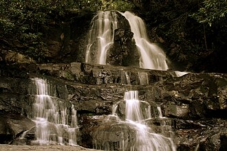 Laurel Falls Trail