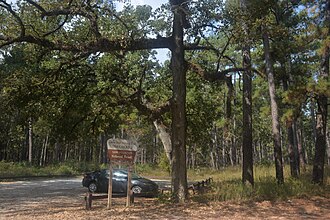 Lone Star Hiking Trail
