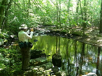 Menunkatuck Trail