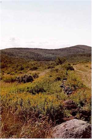 Monadnock-Sunapee Greenway