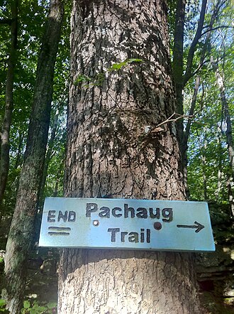 Pachaug Trail