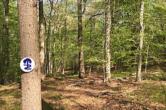 Patriots' Path