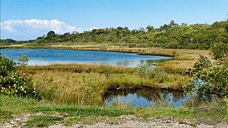 Paumanok Path