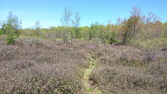 Pinchot Trail System