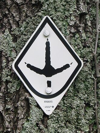 Pinhoti Trail