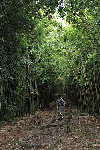 Pīpīwai Trail