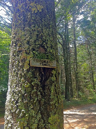 Quinebaug Trail