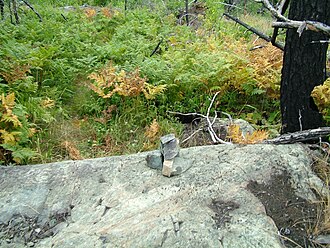 Snowbank Trail