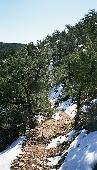 South Bass Trail