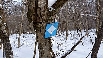 Taconic Crest Trail