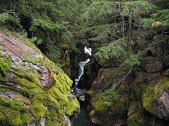 Trail of the Cedars