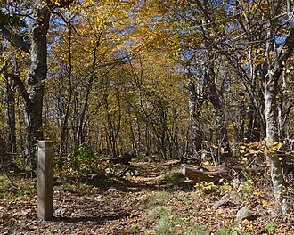 Tuscarora Trail
