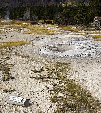 Bulger Geyser