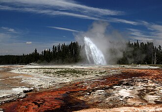 Daisy Geyser