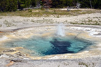 Spasmodic Geyser