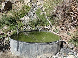 Willett Hot Springs