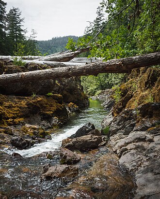 Campbell Falls