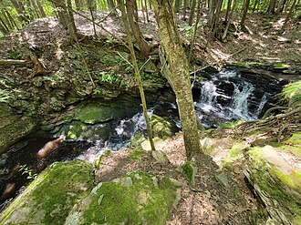 Codfish Falls