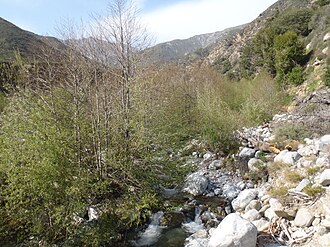 Etiwanda Falls