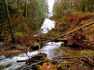 Fishhawk Falls