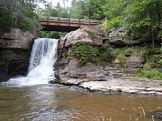 Hardenburgh Falls