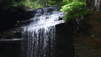 Moore Cove Falls