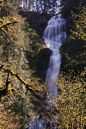 Munson Creek Falls