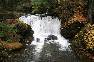Whirlpool Falls